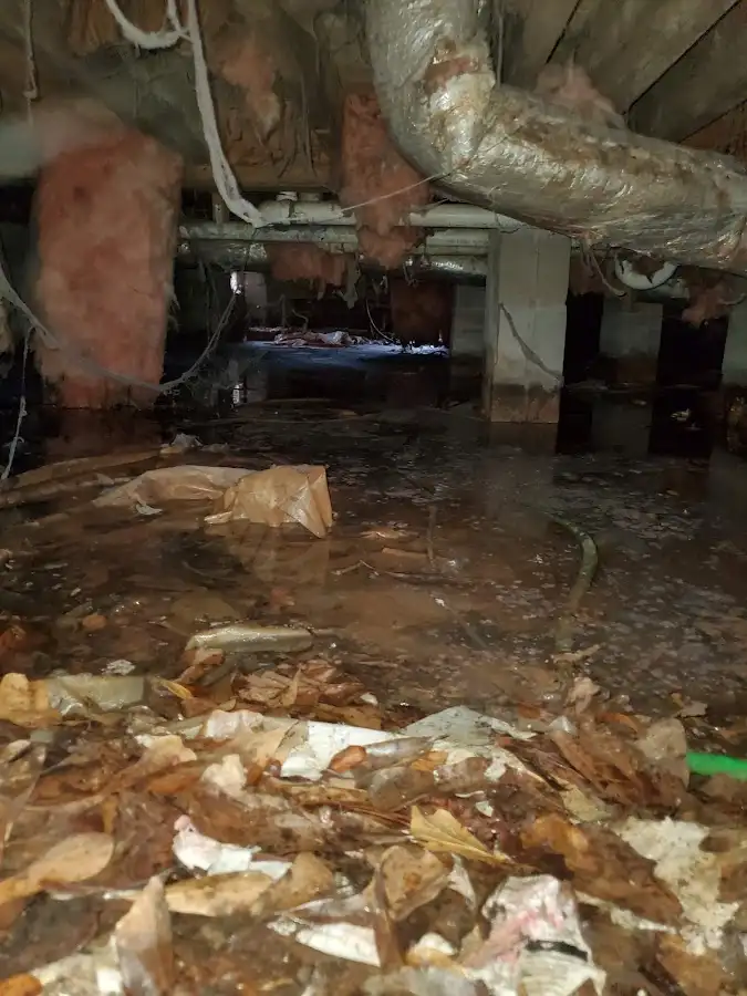 Crawl space flood assessment for Leak Detection & Repair in Hellertown
